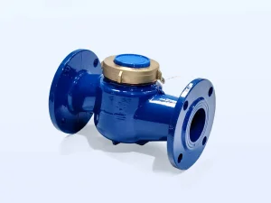 the LXS rotary vane water meter