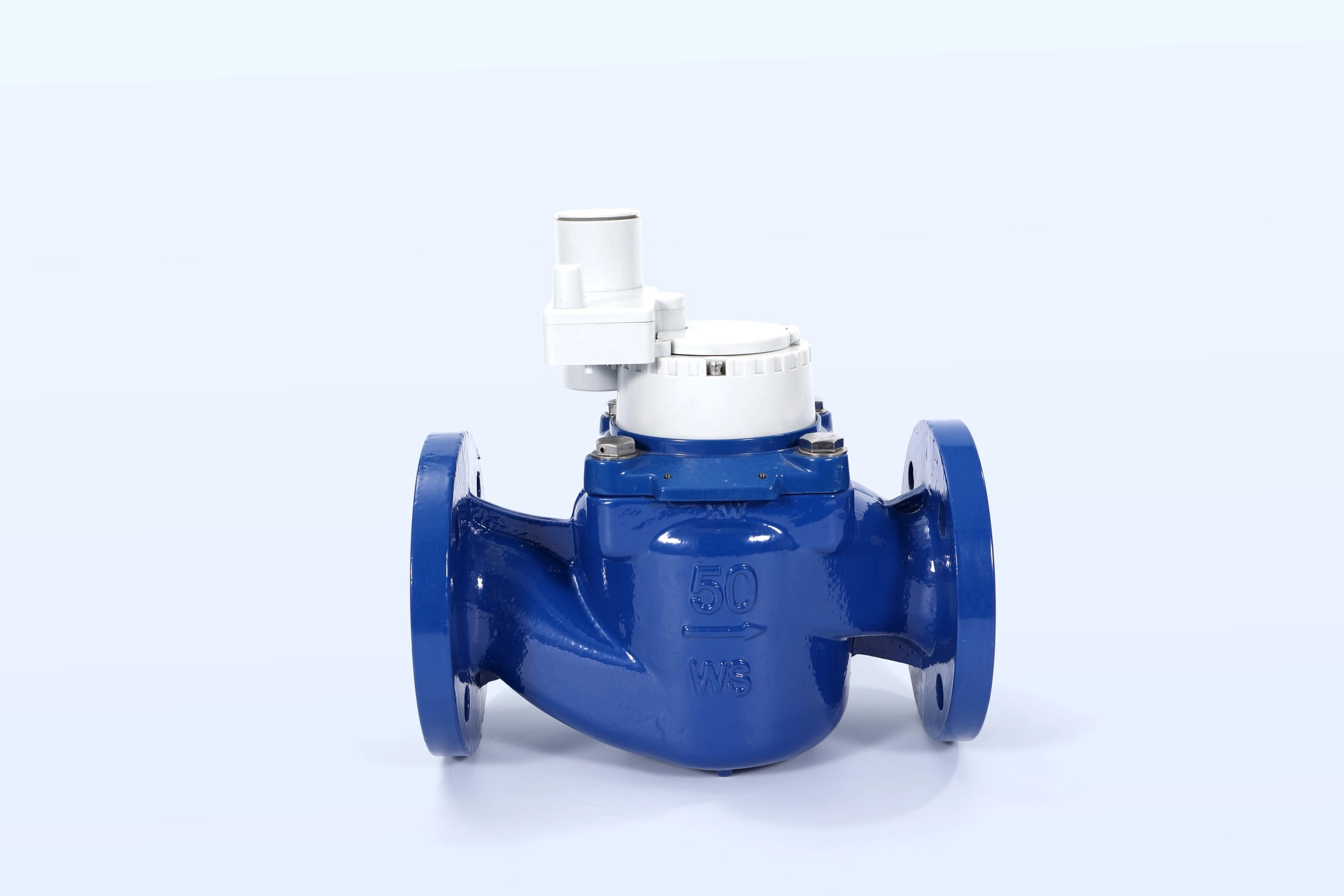 Lorawan water meter DN50 (2)